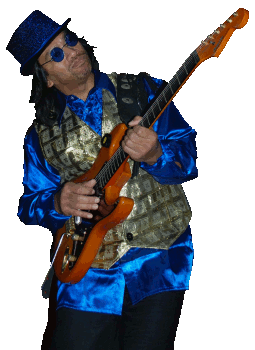 Gitarist Ruud
